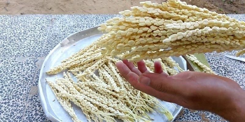 Хурмо гулчанглари Хурмо чанги (оригинал)‼️xurmo gul changi gulchangi