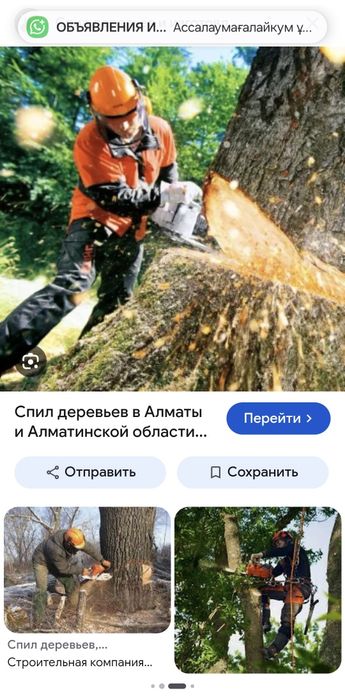 Санитарная обрезка и спиливание проблемных деревьев