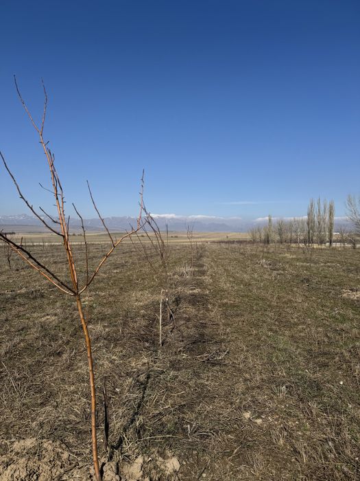 3.1300 га жер сатылады