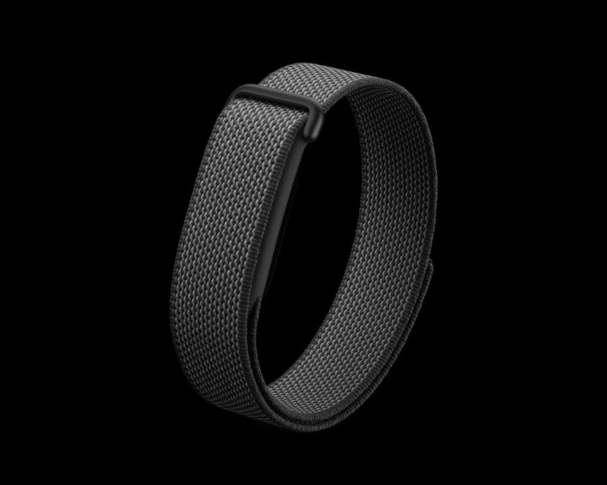 Google Fitbit Air - Obsidian, Berry, Lavender