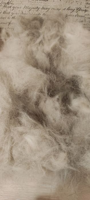 Собачья шерсть Хаски