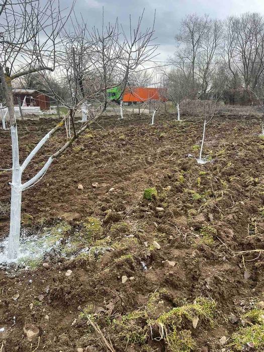 Продава се Парцел в София, Център - 780 кв.м за 41 €/кв.м - Снимка #12