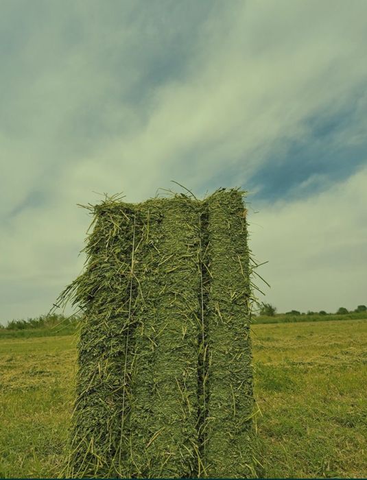 Zõr Beda Press Sotiladi