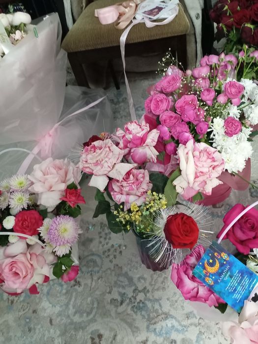 Продам цветы дешево