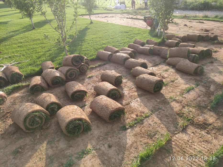 Продам рулонный газон. Биринчи қўл