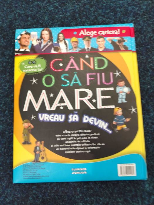 Carte despre domenii și meseri