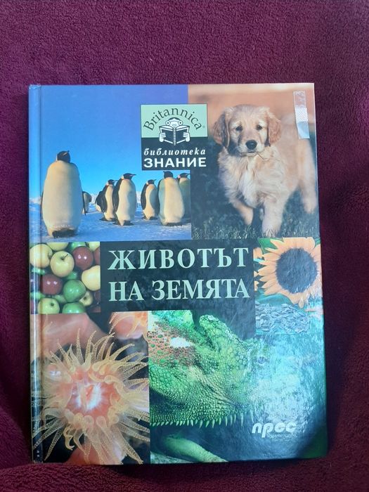 Детски книги-енциклопедии