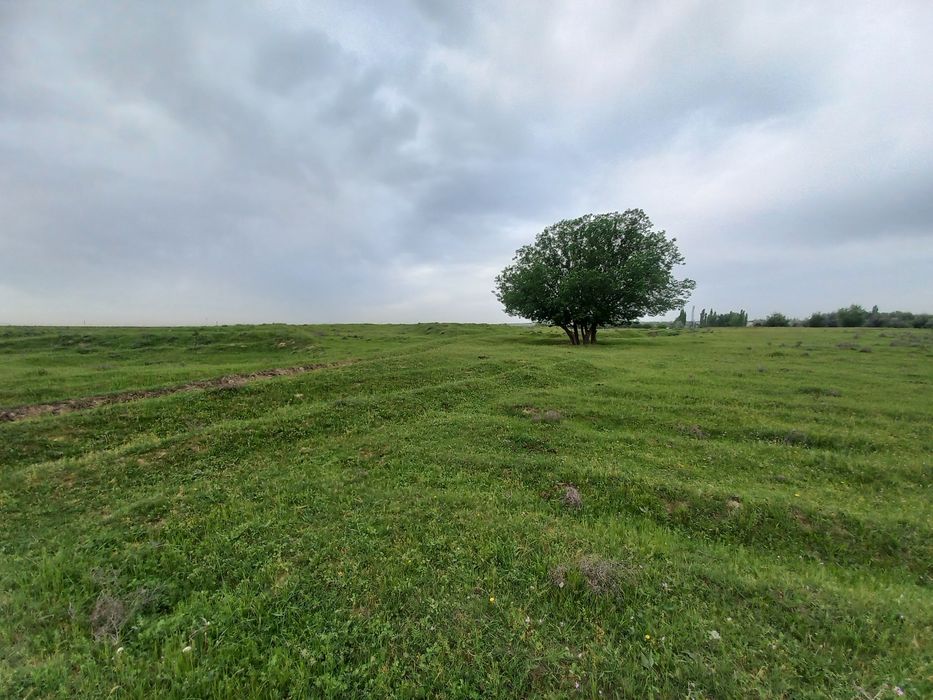 Земельный участок