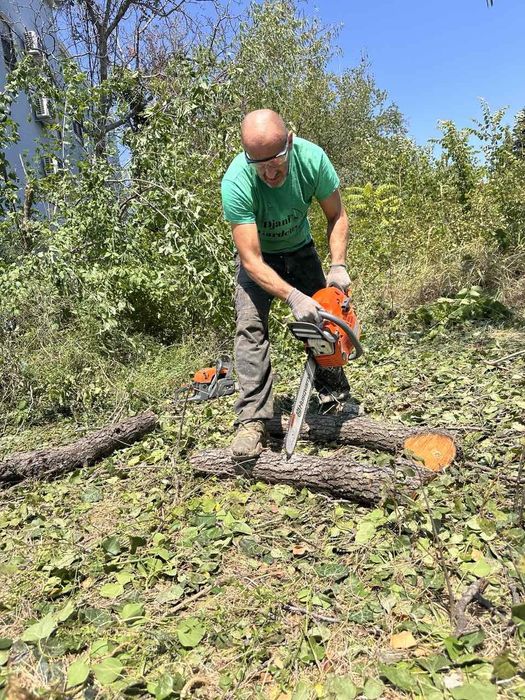 Рязане на дървета, извозване на разстителни отпадаци, дробене на клони