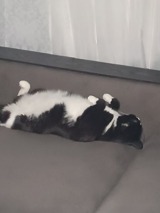 Кашка 2 года стиральная