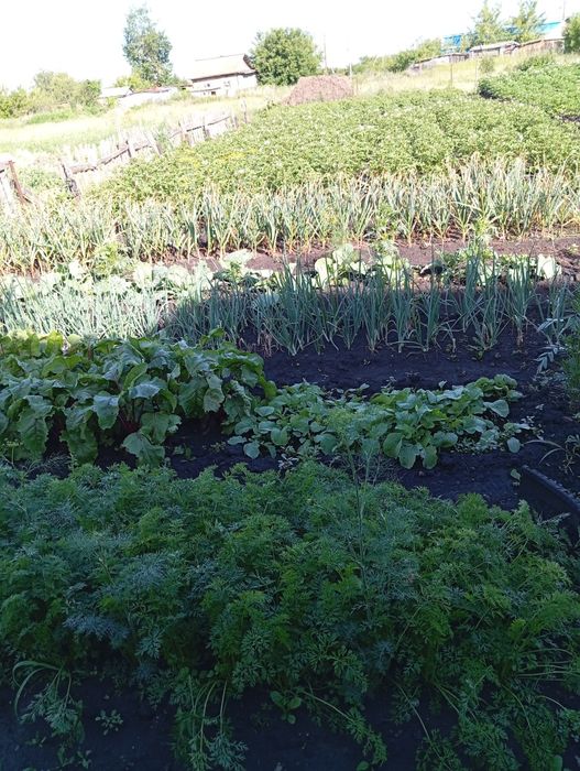 Продам жилой частный дом