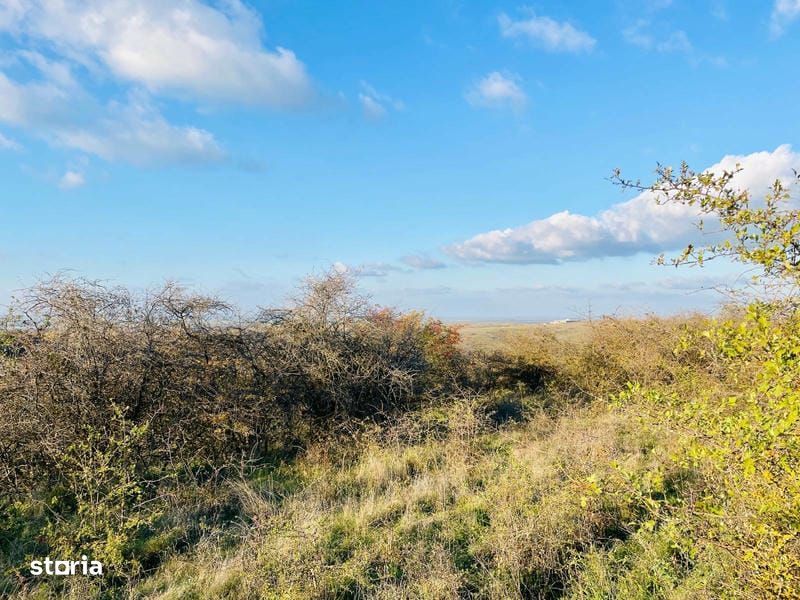RASOVA Cochirleni Teren extravilan 38 Hectare comasat 100%