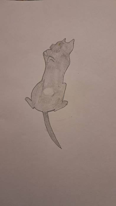 Рисую ваших домашних животных