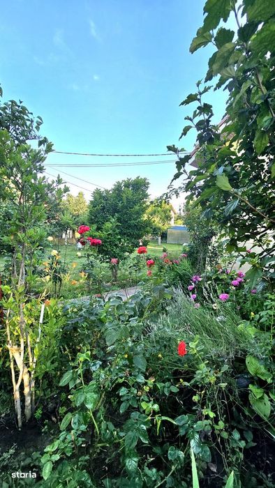 Otopeni vila si teren 878 mp / gradina matura