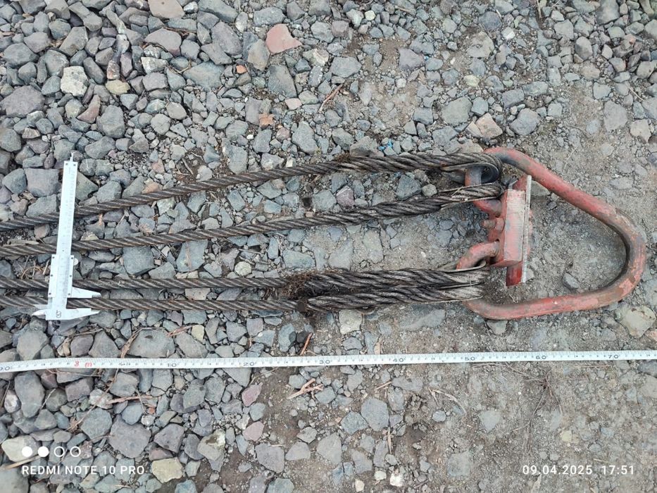 Паук четырех концывой