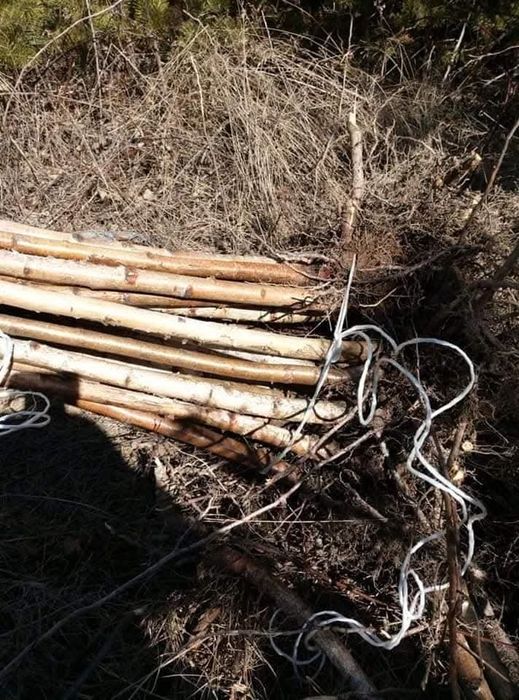 Здравейте предлагаме високо качествени дръвчета