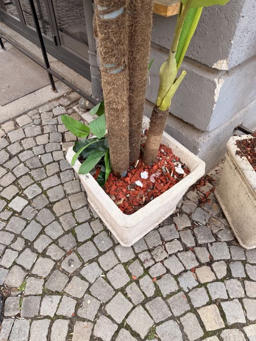 16 броя изкуствени банани