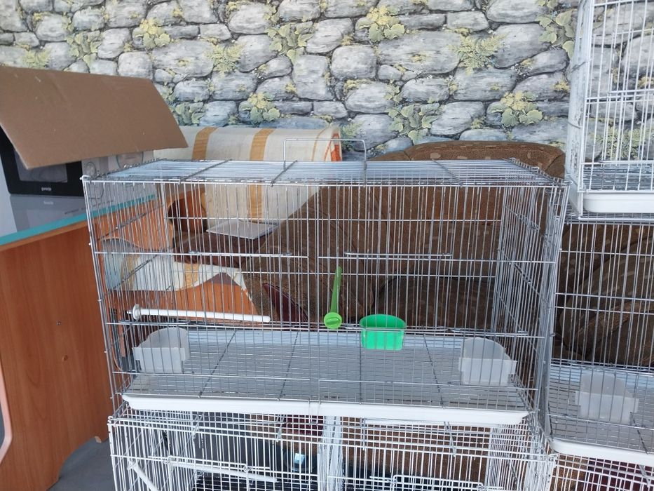 Клетка для птицов