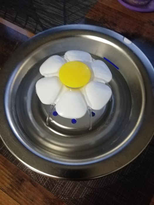 Фонтан за домашно коте с филтър