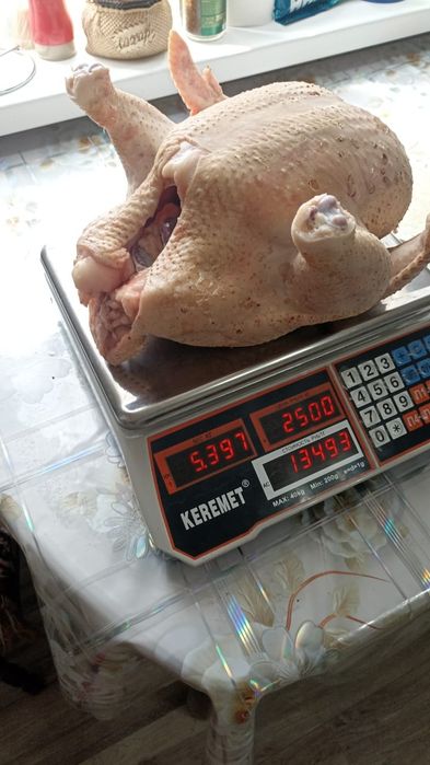 Продам мяса индюшки
