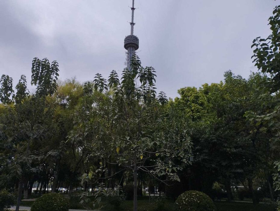 Ижарага ховли жой берамиз (талаба-кизлар учун)