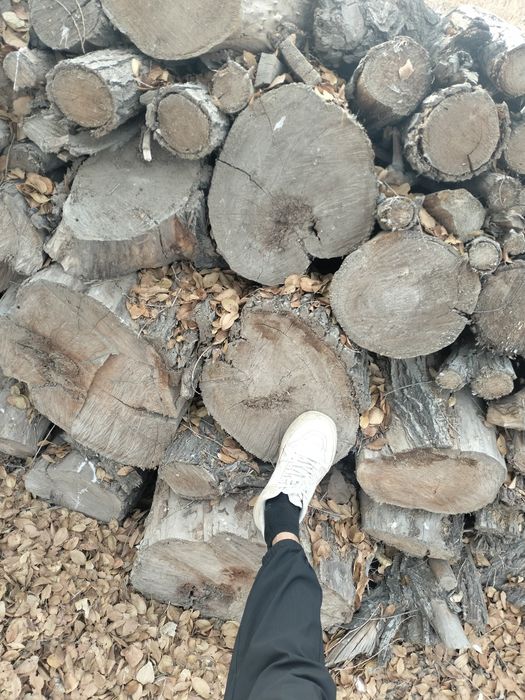 Продаётся дрова для топки.Отын Сатылатын