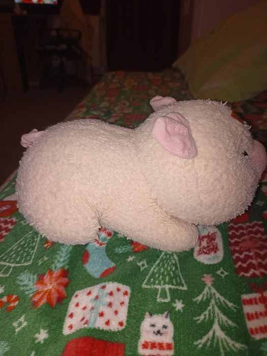 Porc plus pt distracția copilului