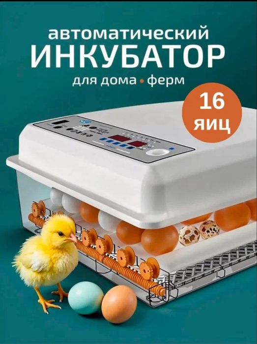 Inkubatorlar muddatli toʻlovga sotiladi 6 oyga
16..30..36..64..120.. t