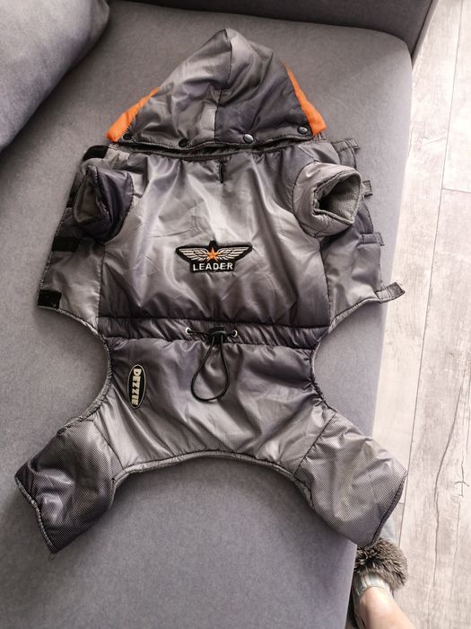 Одежда для собак