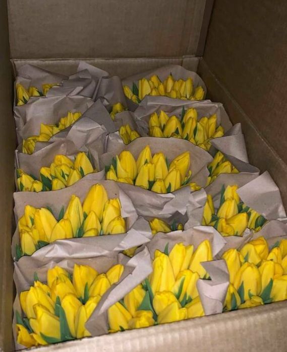 Тюльпаны триумф оптом Алматы и область
