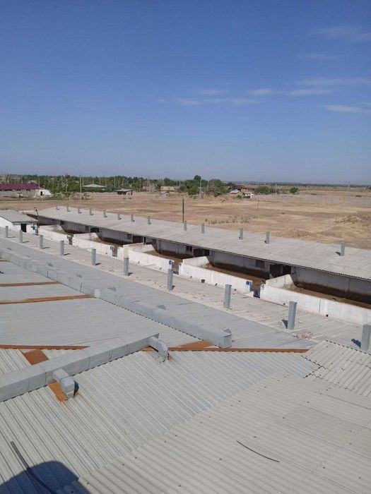 Срочно продаётся фермерское хозяйство