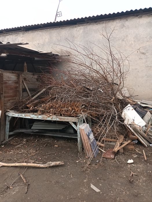 Утин сотамиз арзон