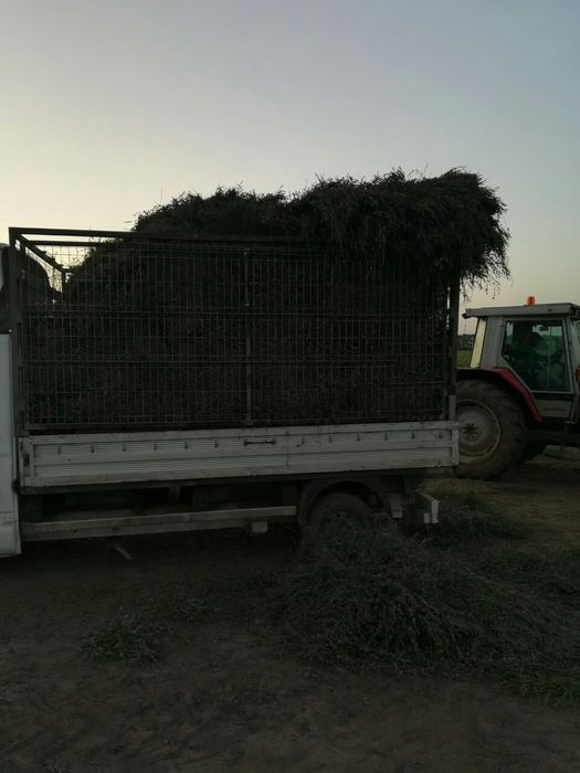 Транспортни услуги, Хамалски услуги, Къртене и Извозване