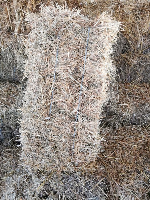 Vând baloții de Ovăz