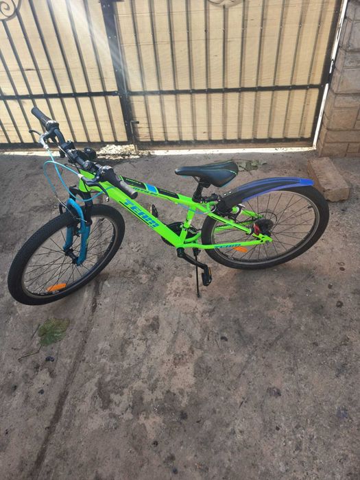 Mountain Bike Team Green 24"