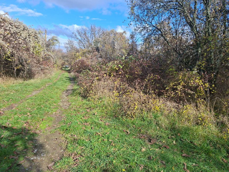 УПИ- Кондофрей област Радомир