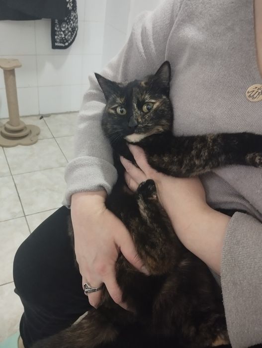 Отдам в добрые руки