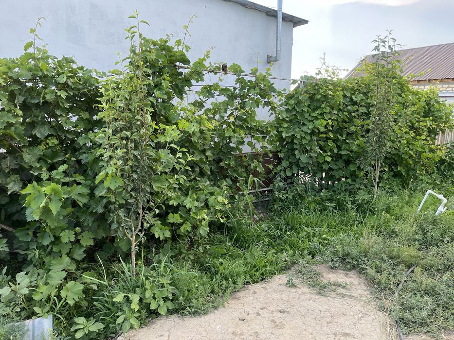 Продам  частный дом  район Рыбник