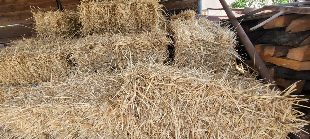 Vând 70 de baloți din paie de grâu