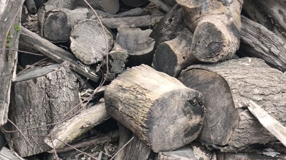 Продам. дрова. Обрикос карагаш