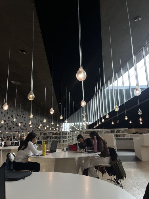 Meditații Limba Spaniolă – Nivel Începător (A1–A2)