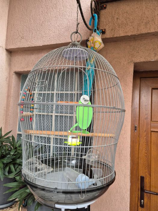 Colivie ovala in stare buna