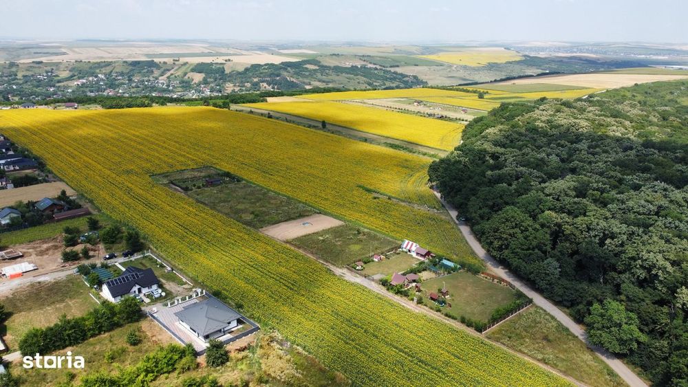 Teren 4560 mp Miroslava Str Arțarului,  Pădurea Valea Ursului