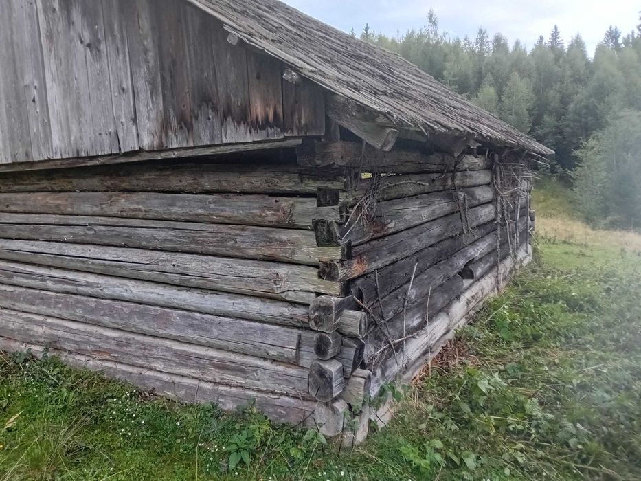 Vând Grajd tradițional din lemn rotund – Câmpulung Moldovenesc