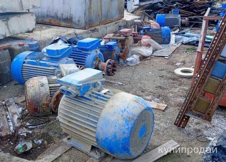 Скупка асинхронных электродвигателей