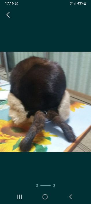 Продам женскую шапку