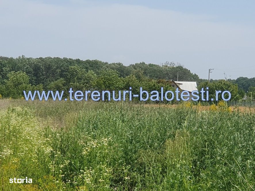 Teren Balotesti, vecinatate padure Sri,19500 euro