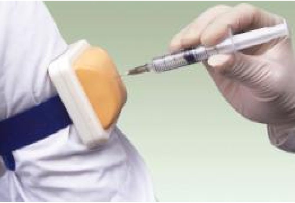 Анатомические модели человека муляжи для обучения медицинского персона