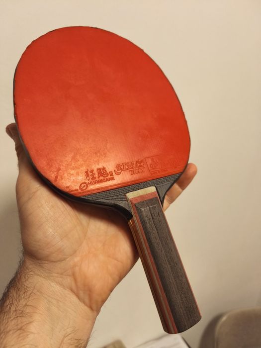 Paletă tenis de masa DHS hurricane