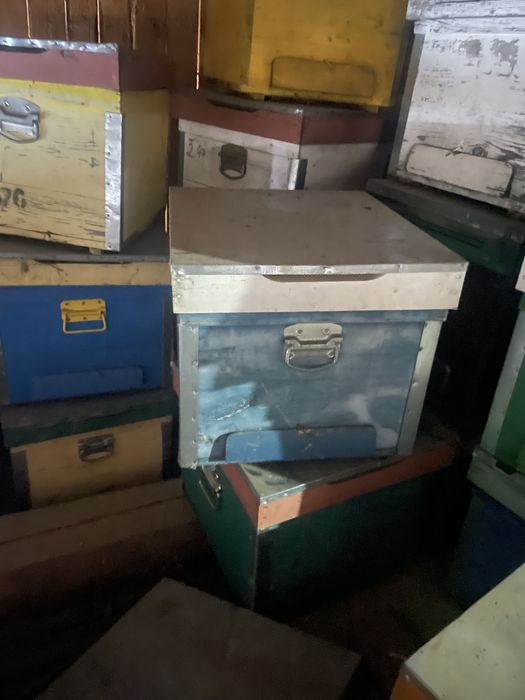 Vand lazi pentru albine